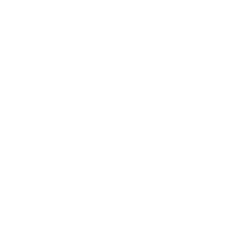 ipulse logo